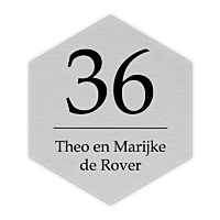 RVS look naambord hexagon